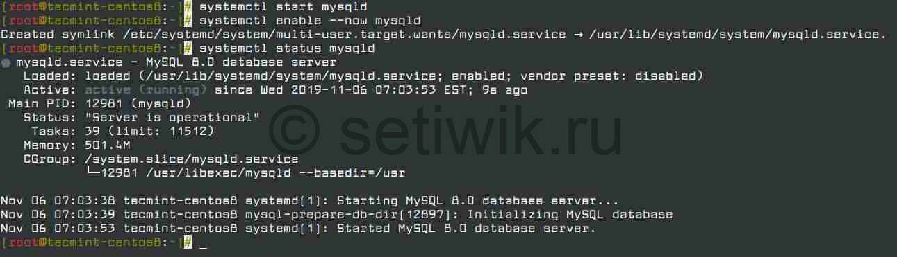 Управление сервисом MySQL в CentOS 8