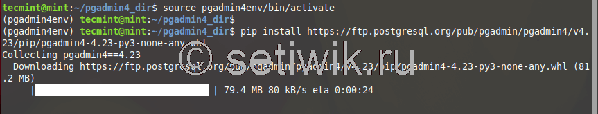 Установка PgAdmin4 в Linux Mint
