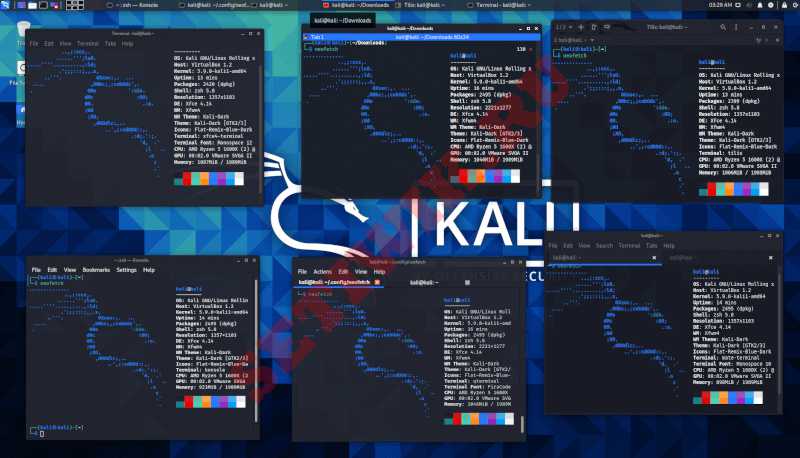 Терминалы Kali Linux