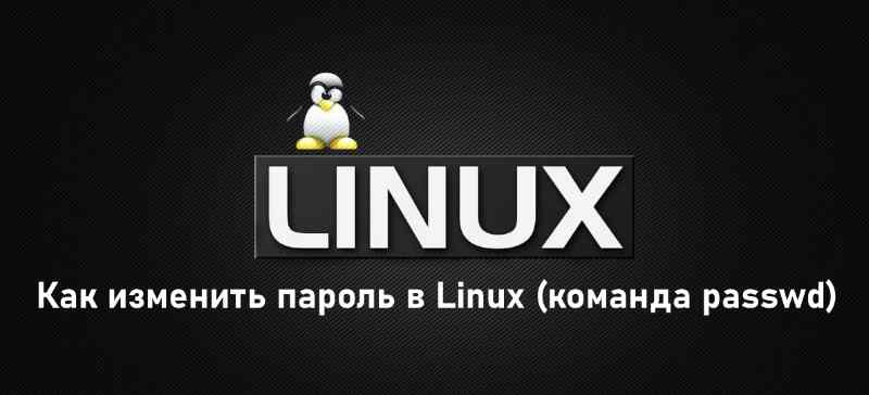 Как изменить пароль в Linux (команда passwd)