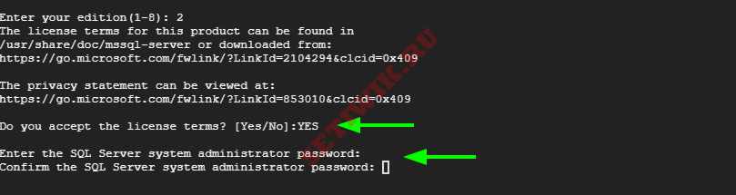 Настройка пароля администратора SQL Server