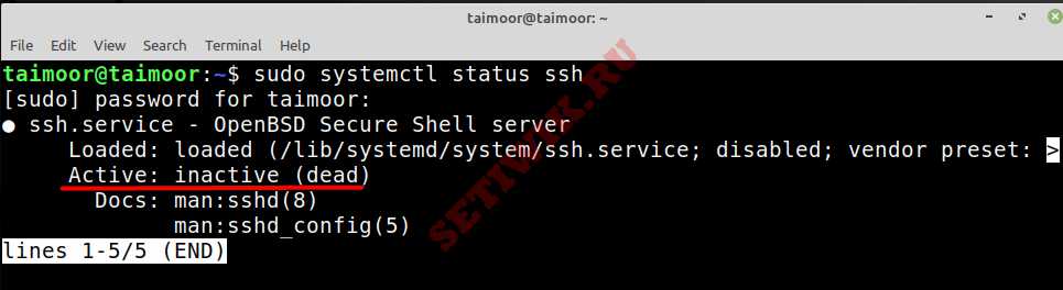 Неактивный запуск SSH в Linux mint