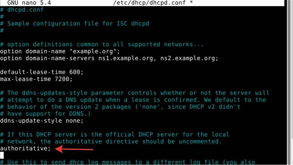 Единственный DHCP сервер в сети